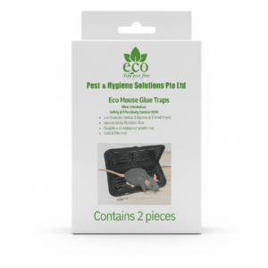 Eco Mouse Glue Traps